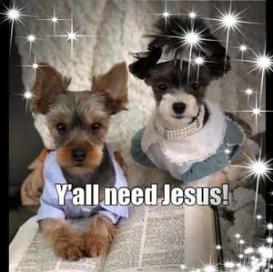 Meet your Posher, Tammy